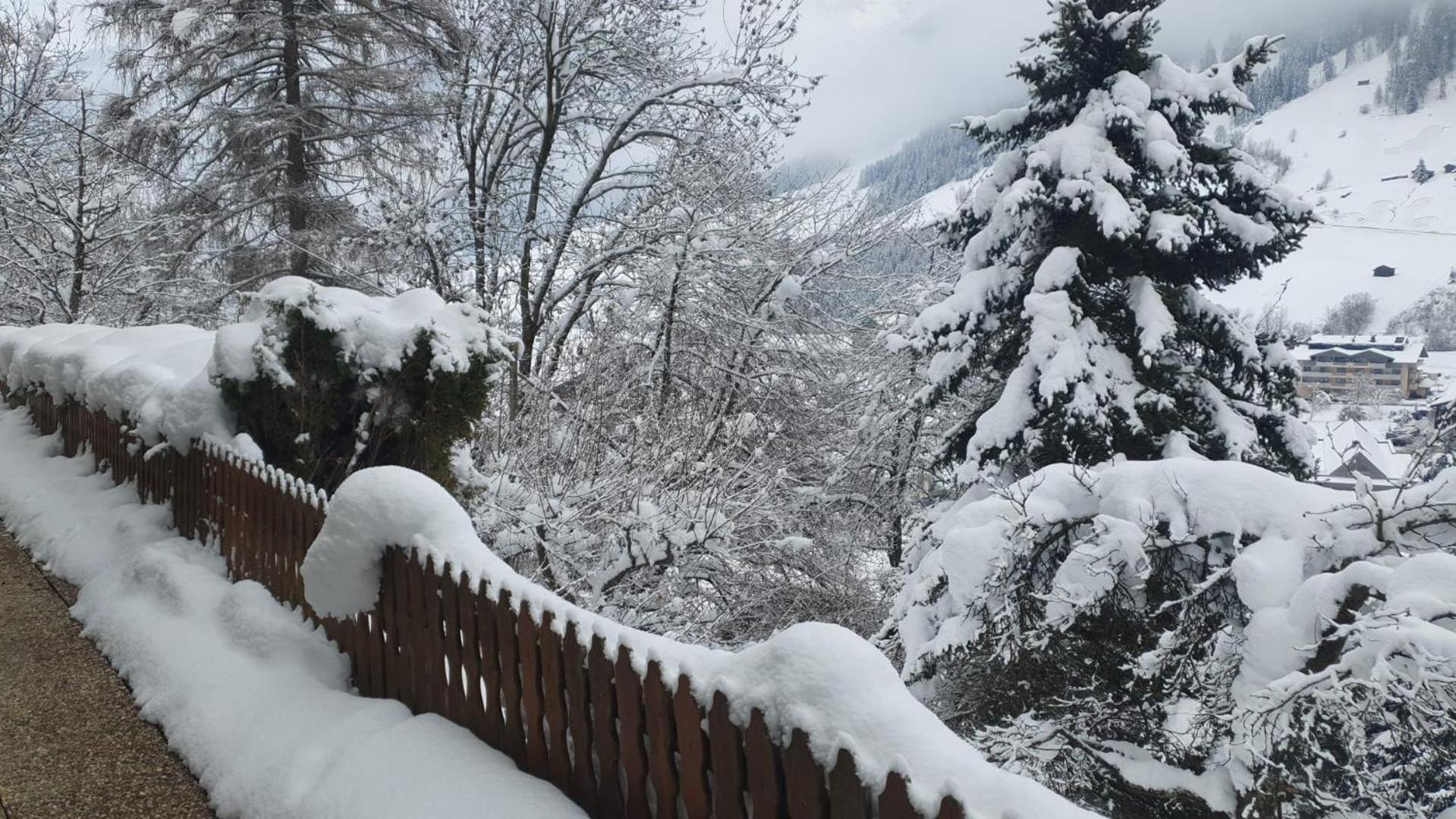 Pension Terra Neustift im Stubaital Eksteriør bilde